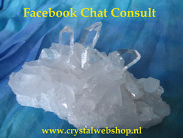 Facebook Chat Consult 30 min
