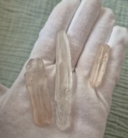 Lemurisch Zaad Kristallen Setje 6