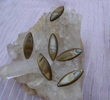 Parelmoer Kraal Navette Goud 