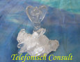 Telefonisch Consult