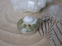 Schelp Hanger_