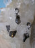 Vuur Agaat Hanger_